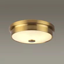 Odeon Light 4824/3C Настенно-потолочный светильник 